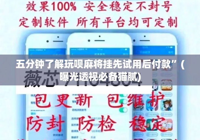 五分钟了解玩呗麻将挂先试用后付款	”(曝光透视必备猫腻)