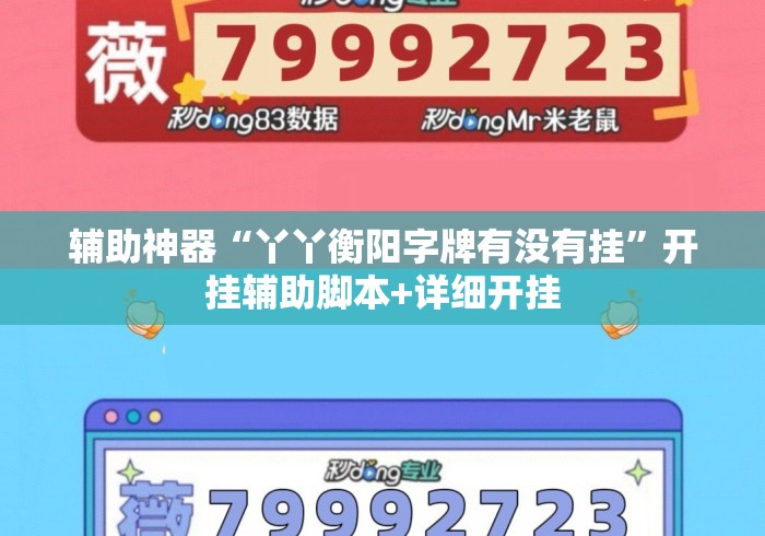 辅助神器“丫丫衡阳字牌有没有挂”开挂辅助脚本+详细开挂