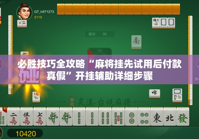 必胜技巧全攻略“麻将挂先试用后付款真假”开挂辅助详细步骤