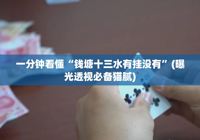 一分钟看懂“钱塘十三水有挂没有”(曝光透视必备猫腻)