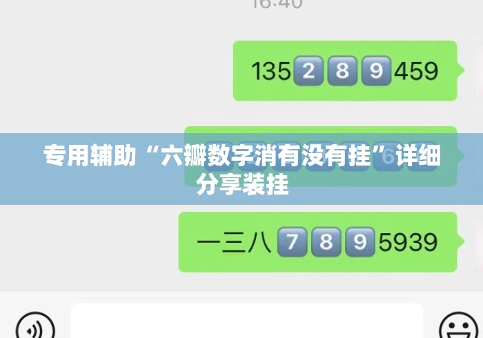 专用辅助“六瓣数字消有没有挂	”详细分享装挂