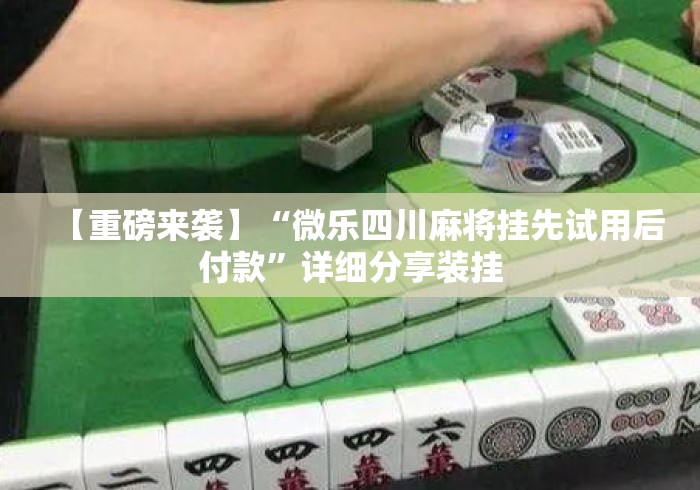 【重磅来袭】“微乐四川麻将挂先试用后付款	”详细分享装挂