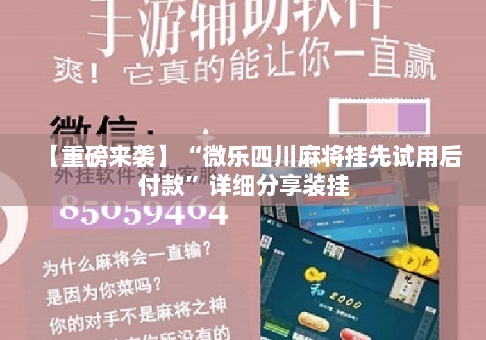 【重磅来袭】“微乐四川麻将挂先试用后付款”详细分享装挂