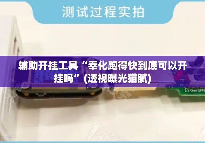 辅助开挂工具“奉化跑得快到底可以开挂吗”(透视曝光猫腻)