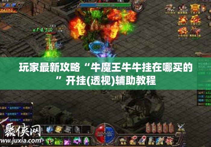 玩家最新攻略“牛魔王牛牛挂在哪买的”开挂(透视)辅助教程