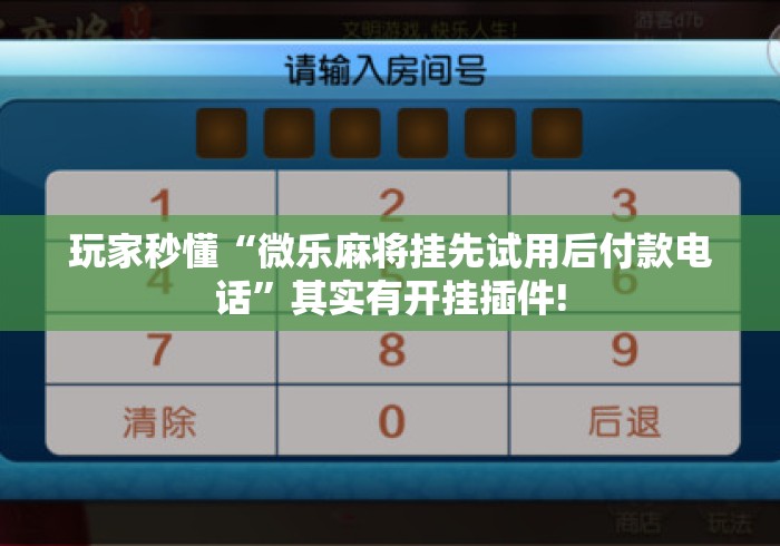 玩家秒懂“微乐麻将挂先试用后付款电话”其实有开挂插件!