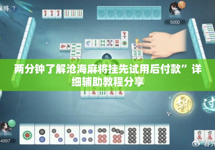 两分钟了解沧海麻将挂先试用后付款”详细辅助教程分享