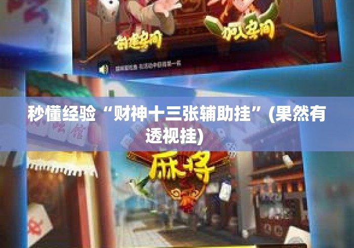 秒懂经验“财神十三张辅助挂”(果然有透视挂) 