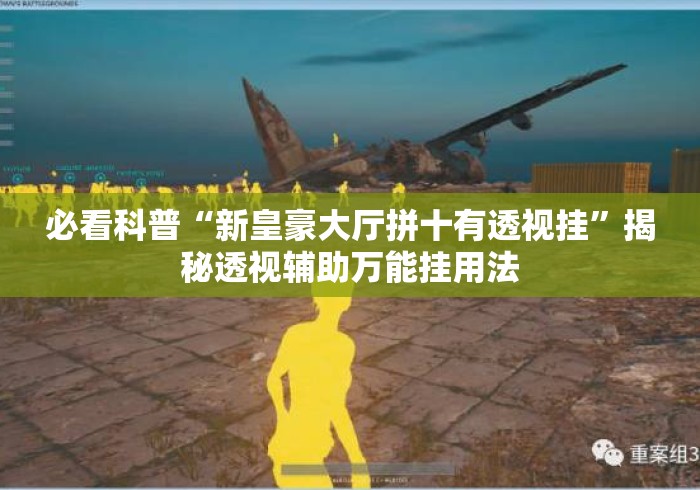必看科普“新皇豪大厅拼十有透视挂	”揭秘透视辅助万能挂用法
