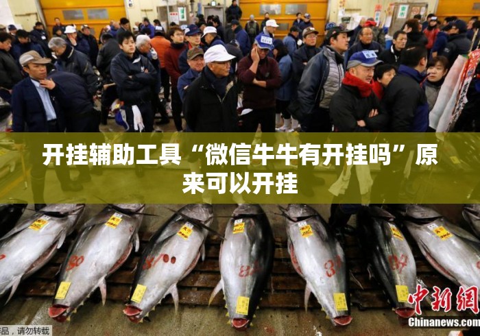 开挂辅助工具“微信牛牛有开挂吗	”原来可以开挂