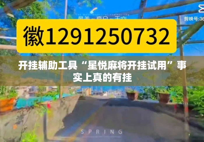 开挂辅助工具“星悦麻将开挂试用	”事实上真的有挂