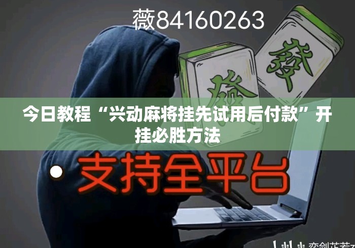 今日教程“兴动麻将挂先试用后付款	”开挂必胜方法