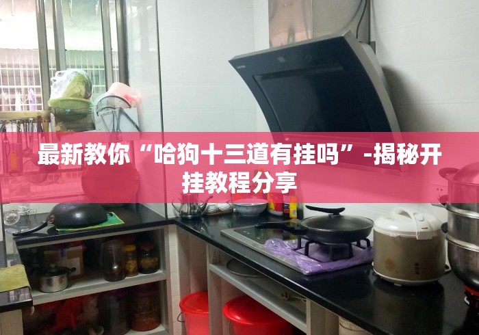 最新教你“哈狗十三道有挂吗	”-揭秘开挂教程分享