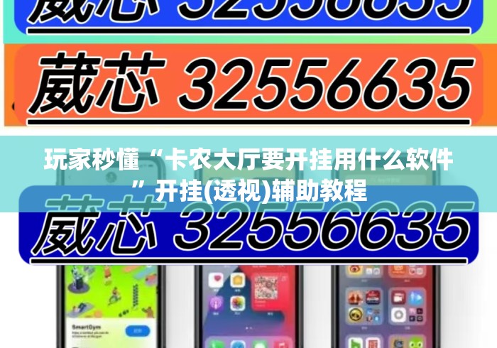 玩家秒懂“卡农大厅要开挂用什么软件”开挂(透视)辅助教程