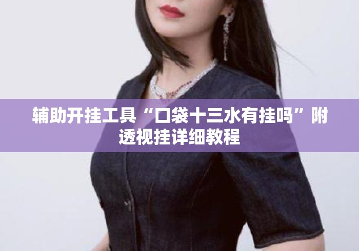 辅助开挂工具“口袋十三水有挂吗”附透视挂详细教程