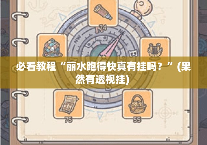 必看教程“丽水跑得快真有挂吗？	”(果然有透视挂) 