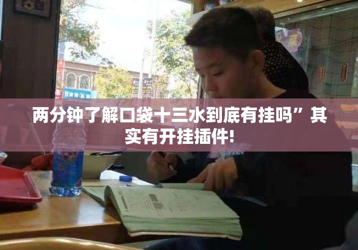 两分钟了解口袋十三水到底有挂吗	”其实有开挂插件!