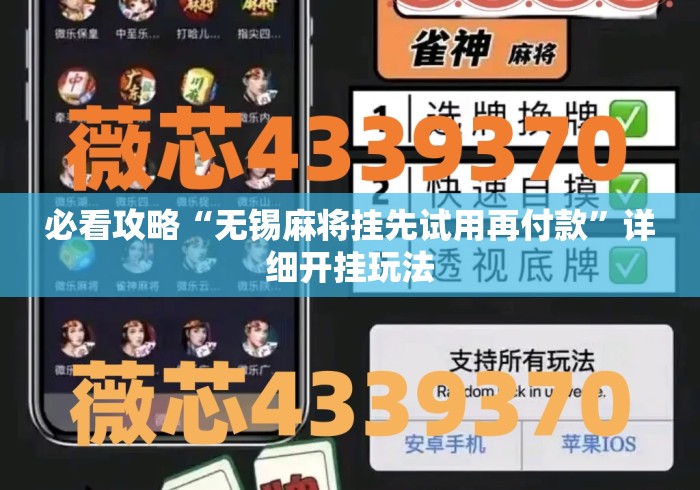 必看攻略“无锡麻将挂先试用再付款”详细开挂玩法