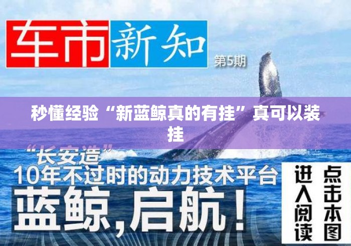秒懂经验“新蓝鲸真的有挂	”真可以装挂