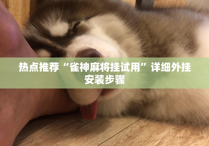 热点推荐“雀神麻将挂试用”详细外挂安装步骤