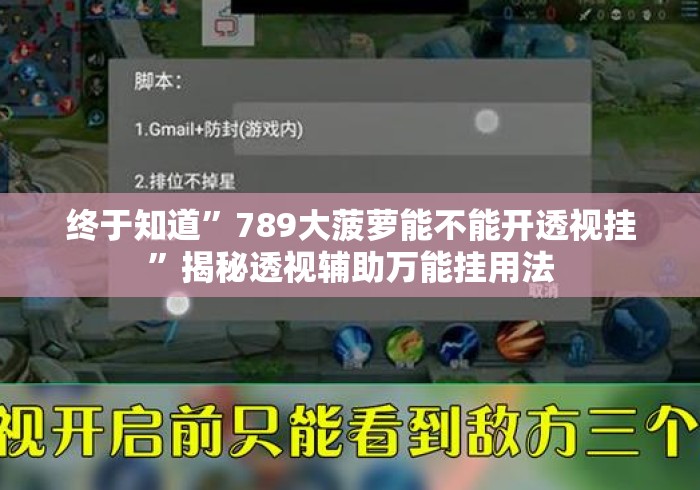 终于知道	”789大菠萝能不能开透视挂”揭秘透视辅助万能挂用法
