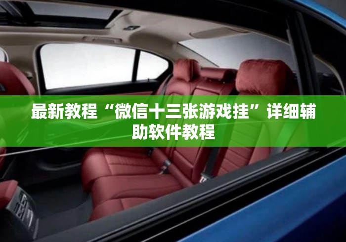 最新教程“微信十三张游戏挂”详细辅助软件教程