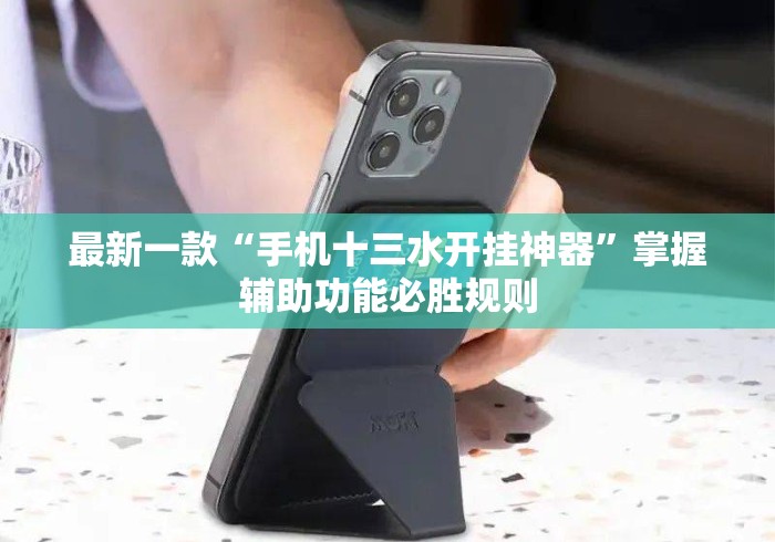 最新一款“手机十三水开挂神器”掌握辅助功能必胜规则