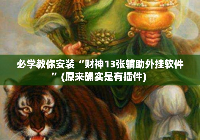 必学教你安装“财神13张辅助外挂软件”(原来确实是有插件) 