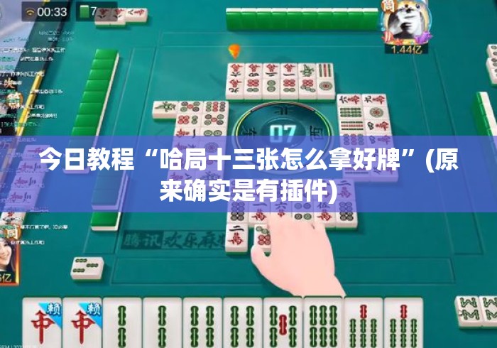 今日教程“哈局十三张怎么拿好牌”(原来确实是有插件)