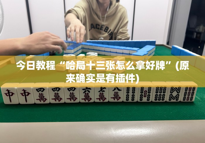 今日教程“哈局十三张怎么拿好牌	”(原来确实是有插件)