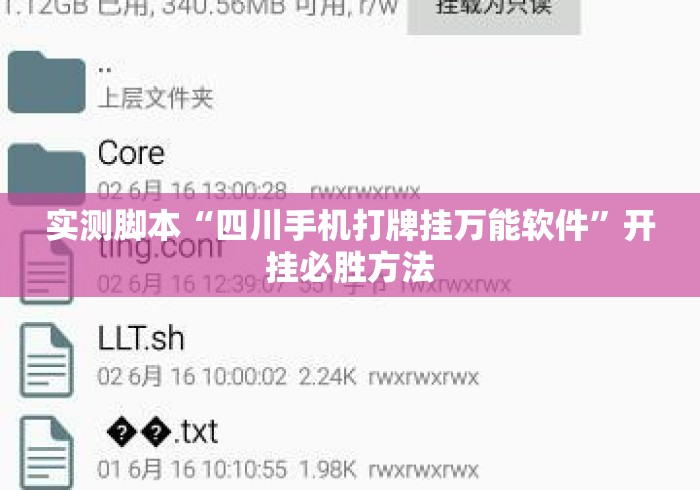 开挂辅助工具“友友麻将万能开挂器”详细分享装挂