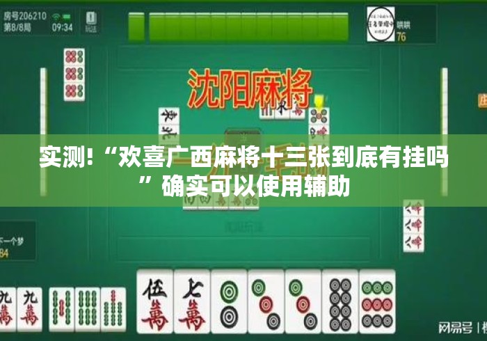 玩家必学攻略“哈灵上海麻将万能开挂神器最新版更新内容”通用版下载教程！