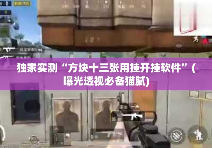 独家实测“方块十三张用挂开挂软件”(曝光透视必备猫腻)