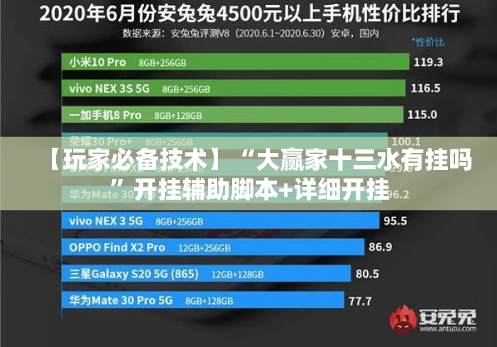 【玩家必备技术】“大赢家十三水有挂吗”开挂辅助脚本+详细开挂