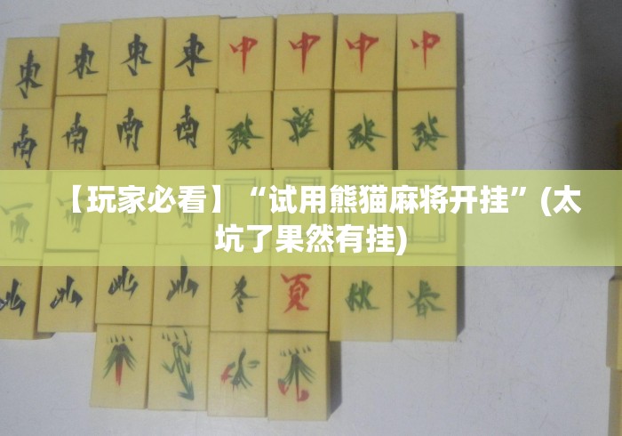 【玩家必看】“试用熊猫麻将开挂	”(太坑了果然有挂)