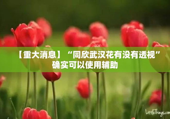【重大消息】“同欣武汉花有没有透视”确实可以使用辅助