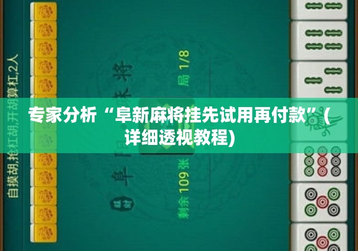 专家分析“阜新麻将挂先试用再付款	”(详细透视教程)