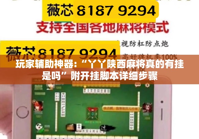 玩家辅助神器:“丫丫陕西麻将真的有挂是吗”附开挂脚本详细步骤