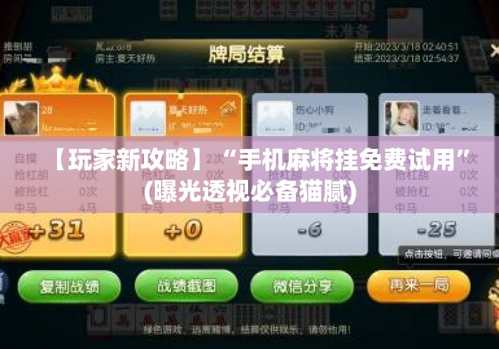 【玩家新攻略】“手机麻将挂免费试用”(曝光透视必备猫腻)