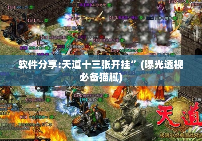 软件分享:天道十三张开挂”(曝光透视必备猫腻)
