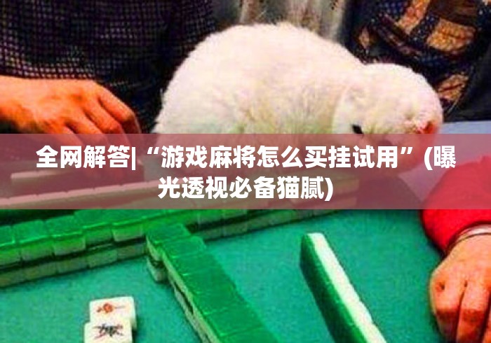 全网解答|“游戏麻将怎么买挂试用	”(曝光透视必备猫腻)