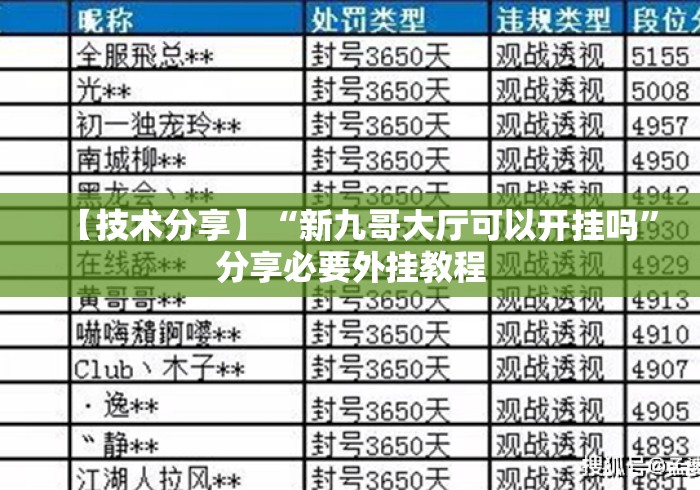 【技术分享】“新九哥大厅可以开挂吗	”分享必要外挂教程