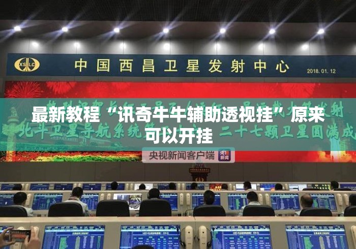 最新教程“讯奇牛牛辅助透视挂”原来可以开挂