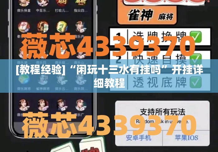 [教程经验]“闲玩十三水有挂吗	”开挂详细教程