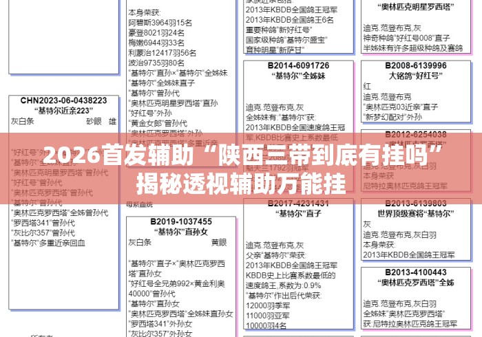 2026首发辅助“陕西三带到底有挂吗”揭秘透视辅助万能挂