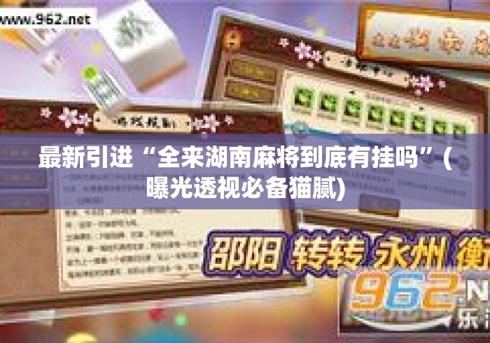 最新引进“全来湖南麻将到底有挂吗”(曝光透视必备猫腻)