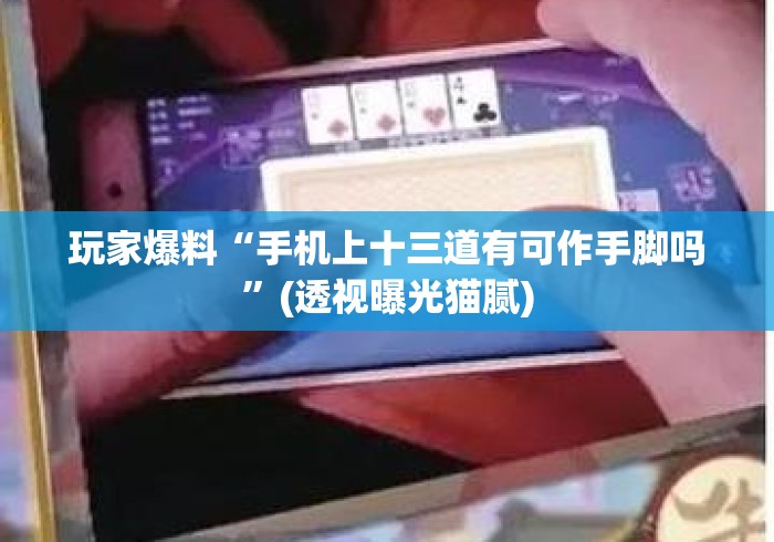 玩家爆料“手机上十三道有可作手脚吗”(透视曝光猫腻)