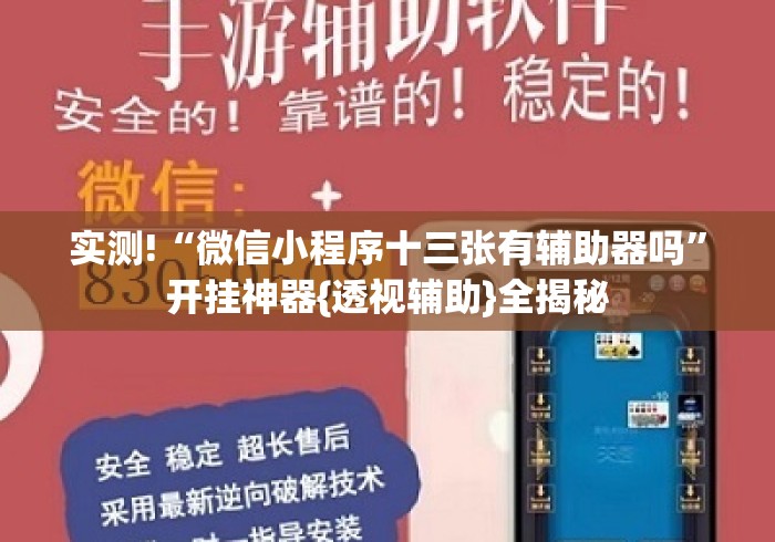 实测!“微信小程序十三张有辅助器吗”开挂神器{透视辅助}全揭秘