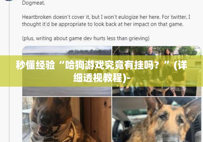 秒懂经验“哈狗游戏究竟有挂吗？”(详细透视教程)-
