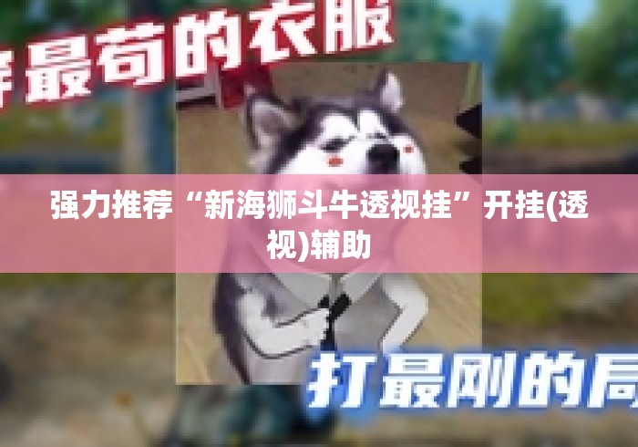 [教程经验]“乐酷大厅开挂透视辅助软件!详细开挂教程